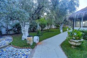 Garden And