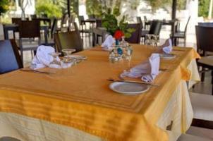Garden And Hammamet